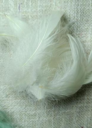 Перья 736. декоративные перья 10 шт бежевого цвета перьев. перья молочного цвета