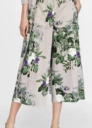 Колюты zara оригинал р.xl