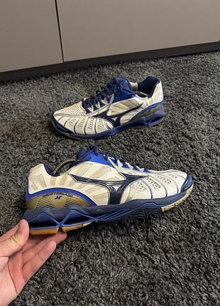Вінтажні чоловічі кросівки mizuno