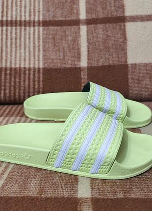 Тапки шлепанцы adidas