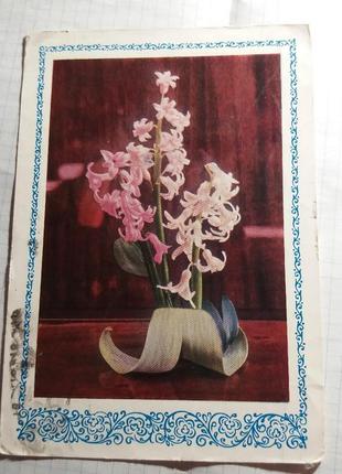Листівка радянська листівка срср срср ретро квіти гіацинт1 фото