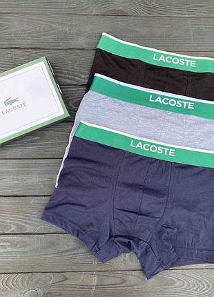 Набір трусів чоловічих у подарунок, 3 шт., lacoste (5160) xl