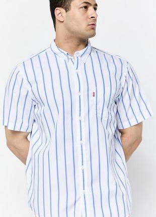 Котонова сорочка levi’s великий розмір