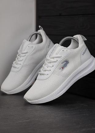 Чоловічі кросівки лакоста стильні повсякденні lacoste court drive fly 42