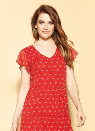 Платье шифоновое до колена короткий рукав весеннее летнее zaps yelda 002 красное узорчатое2 фото