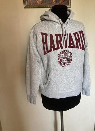 Худі harvard худи