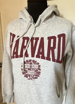 Худі harvard худи 4