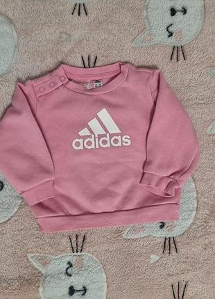 Світшот кофта adidas для малюків дитяча