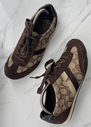 Кросівки coach