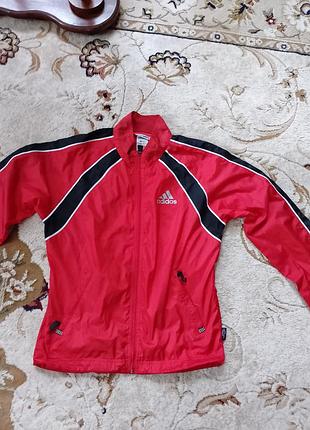 Adidas вітрова оригінал