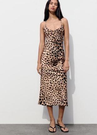 Cукня zara