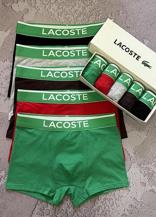 Трусы боксеры мужские lacoste 5шт комплект трусов fellix xxxl
