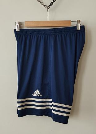 Мужские спортивные шорты adidas climalite