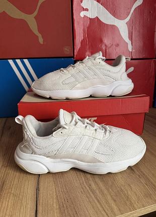 Кросівки adidas haiwee