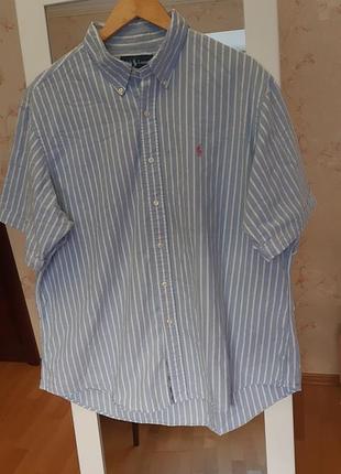 Рубашка от ralph lauren в бело-голубую полоску.
