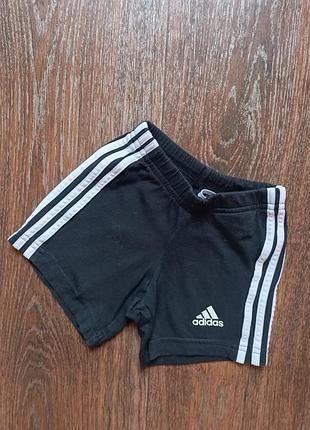 Шорти adidas