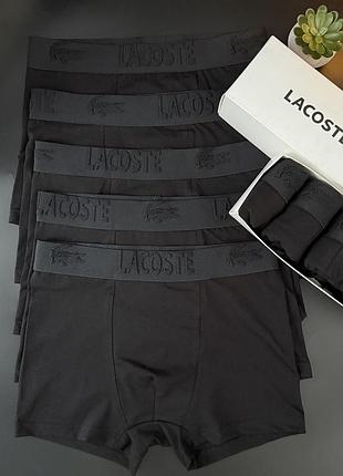 Труси боксери чоловічі lacoste 3д 5шт чоловічі труси лакоста трусы мужские боксеры fellix