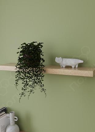 Полиця навісна прихованого монтажу, книжкова поличка 1000