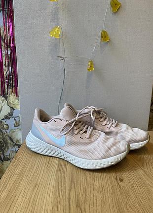 Кросівки жіночі nike revolution 5 оригінал