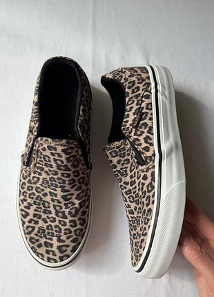 Кеди vans леопард