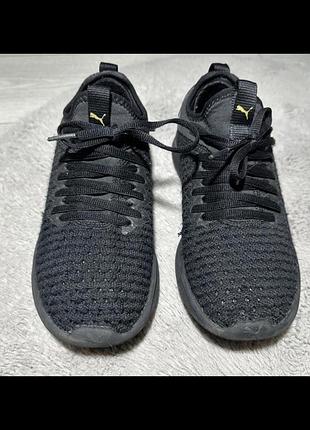 Кросівки puma  ignite flash varsity
