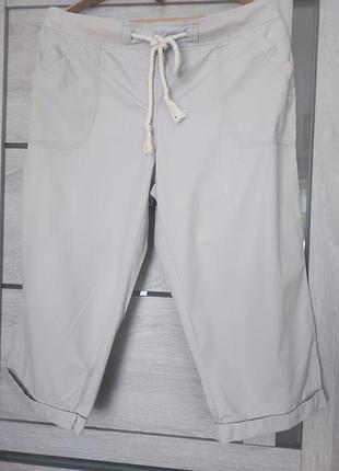 Бриджи dorothy perkins
