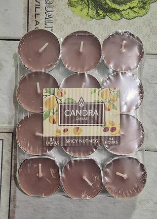 Набір містить 24 чайні свічки бренду candra candle з ароматом пряного мускатного горіха.