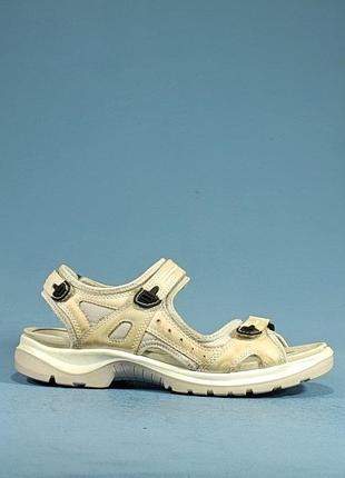Ecco offroad