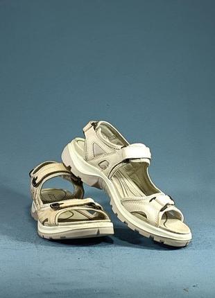 Ecco offroad 2