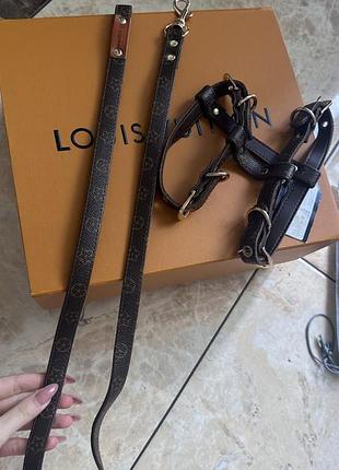 Шлея та повідець lv