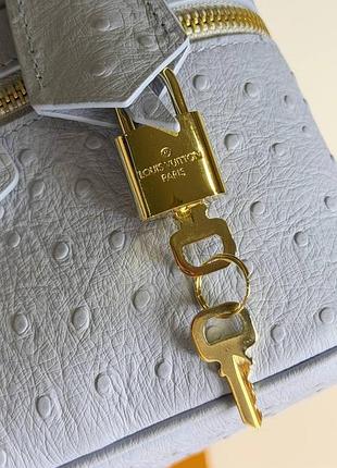 Сумка louis vuitton 5