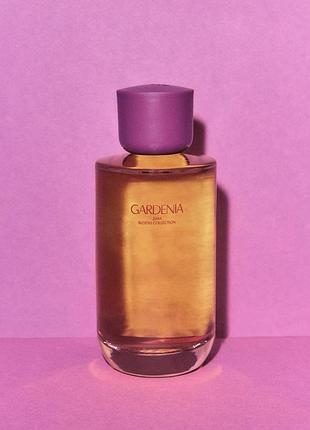 Парфумована вода для жінок zara gardenia, 180 мл