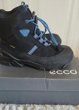 Чоботи ecco, 32р. 2