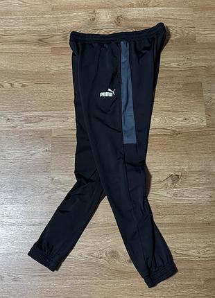 Споріднені штани puma