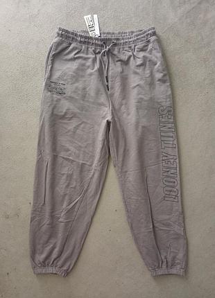 Брендовые спортивные штаны styli.