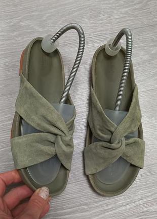 Жіночі шльопанці clarks