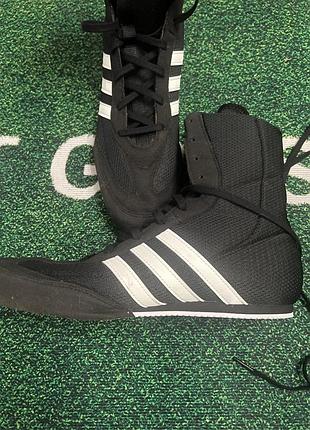 Adidas box hog 3 2
