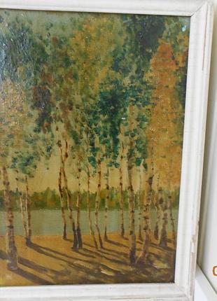 Картина маслом на холсте "березовая роща", художник степаньян г.л. 1960 г.