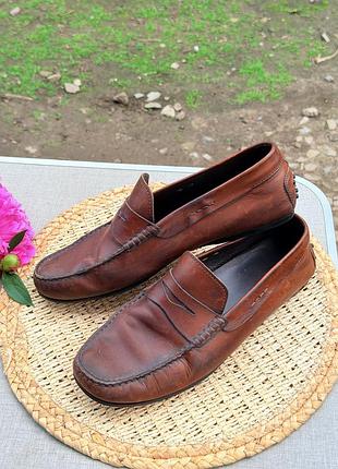 Брендовые кожаные лоферы tod’s оригинал