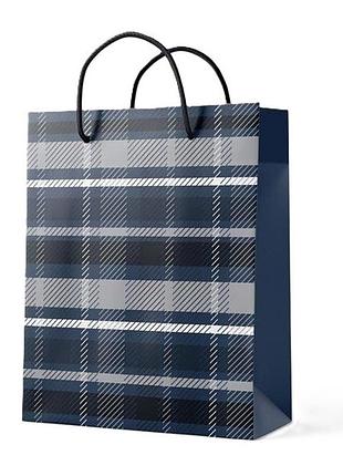 Пакет подарунковий паперовий stenson r94995-xs " checkered" 14,5х15х6 см