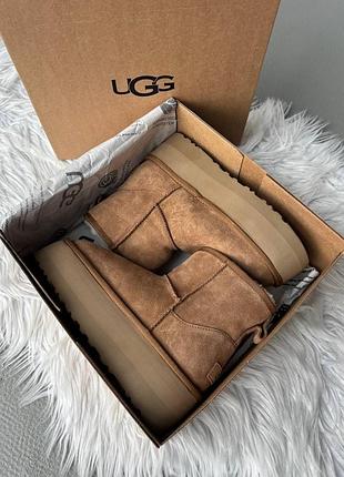 Уги ugg mini platform black, жіночі уги ugg, замшеві ugg mini, тепле зимове взуття ugg, чорні уги ugg платформa premium 38