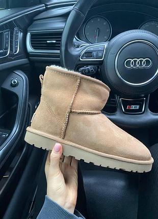 Уги ugg classic mini chestnut, зимові уги ugg, коричневі уги ugg mini, тепле взуття ugg classic, замшеві ugg chestnut 37