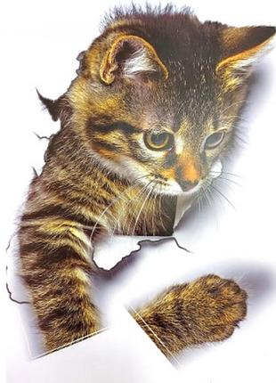 3d наклейка на стену "котик" ост