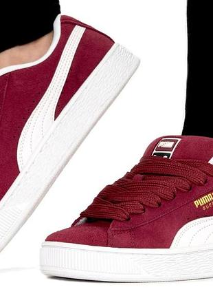 Suede xl bordeaux white