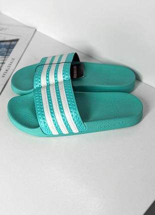 Шлепанцы adidas slippers 2