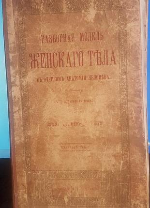 Розбірна модель тіла жінки і мужчини з описом анатомії людини, 1911 р.
