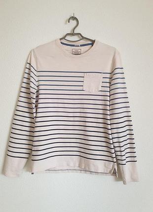 Лонгслив next, размер s, 100% хлопок, полоска