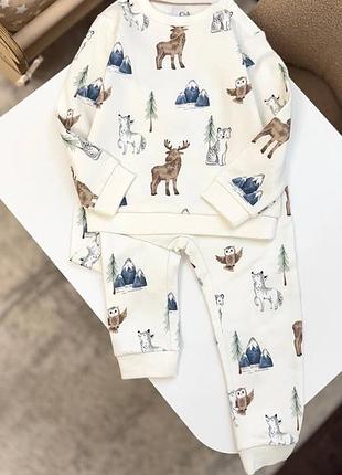 Костюм двійка для хлопчика 🐺