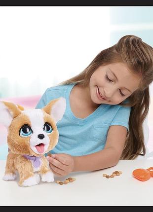 Інтерактивна іграшка "коргі" furreal 6