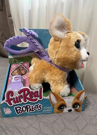 Інтерактивна іграшка "коргі" furreal 2